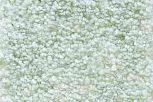 Ковролин AW Masquerade Palio 20 фото  | FLOORDEALER